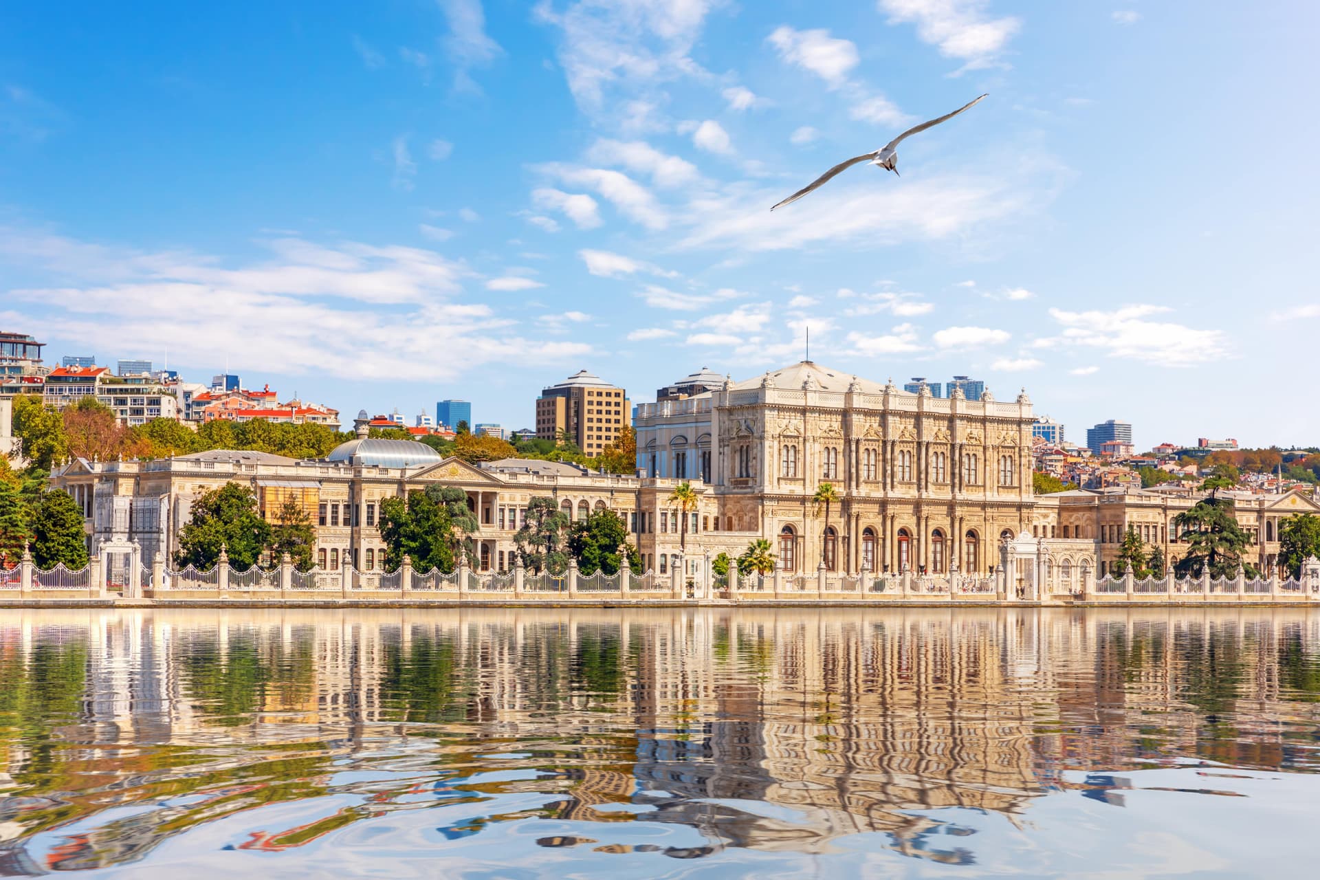 COMBO: Basilica Cistern + Dolmabahce Palace - image 17